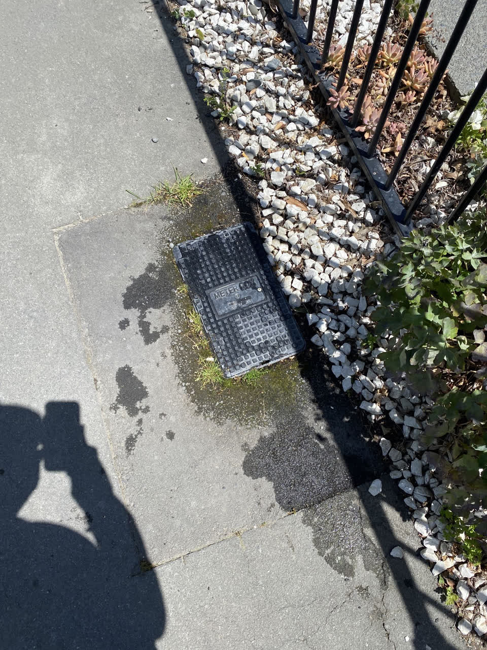 The photograph attached to this water supply report