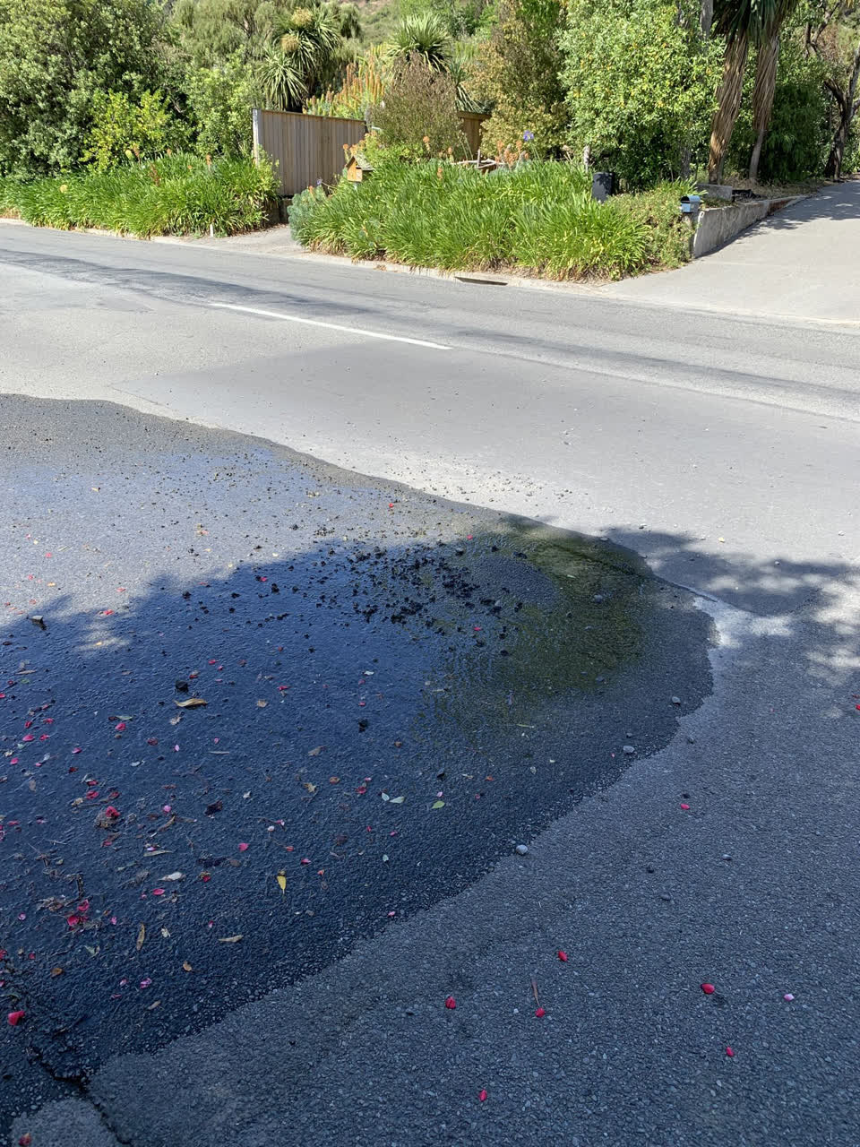 The photograph attached to this roading/streets report