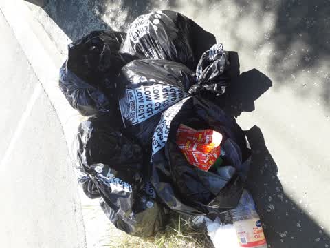 Rubbish/Recycling, a report photo
