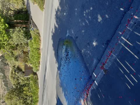 Water Leak, a report photo