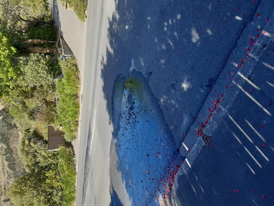 The photograph attached to this water leak report