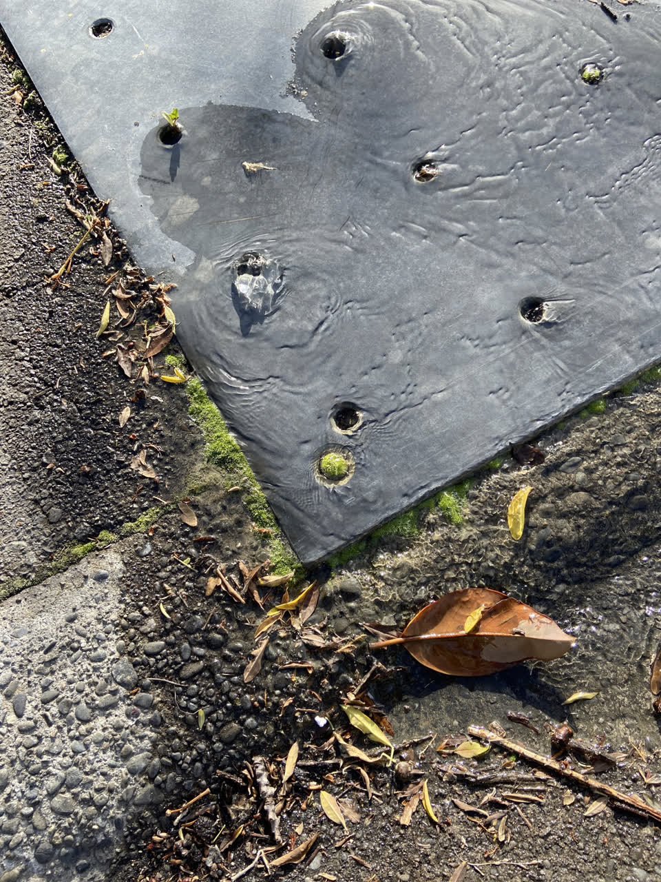 The photograph attached to this water leak report