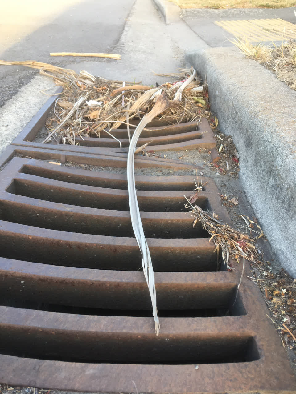 The photograph attached to this wastewater/stormwater report