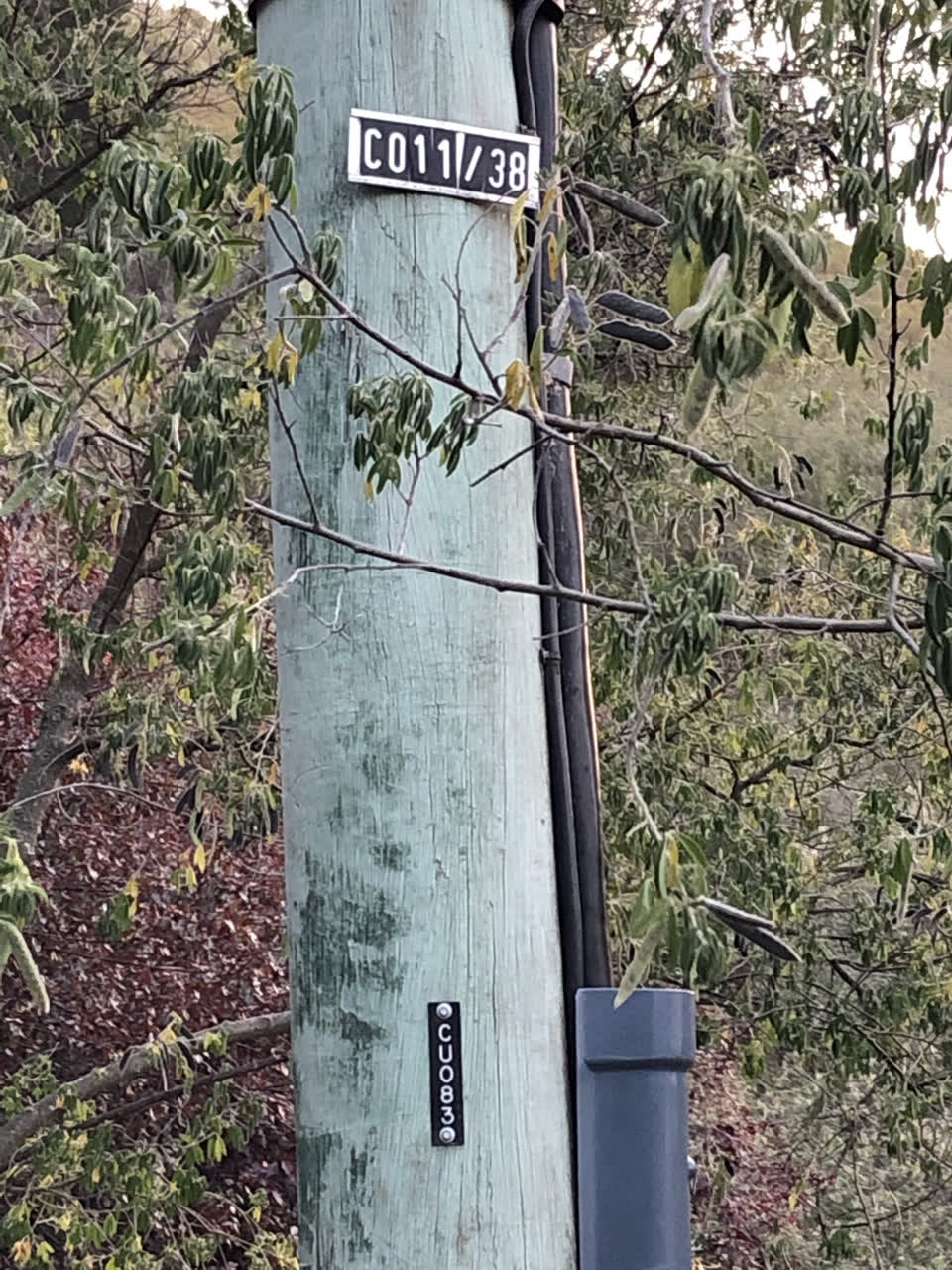 The photograph attached to this street light outage report