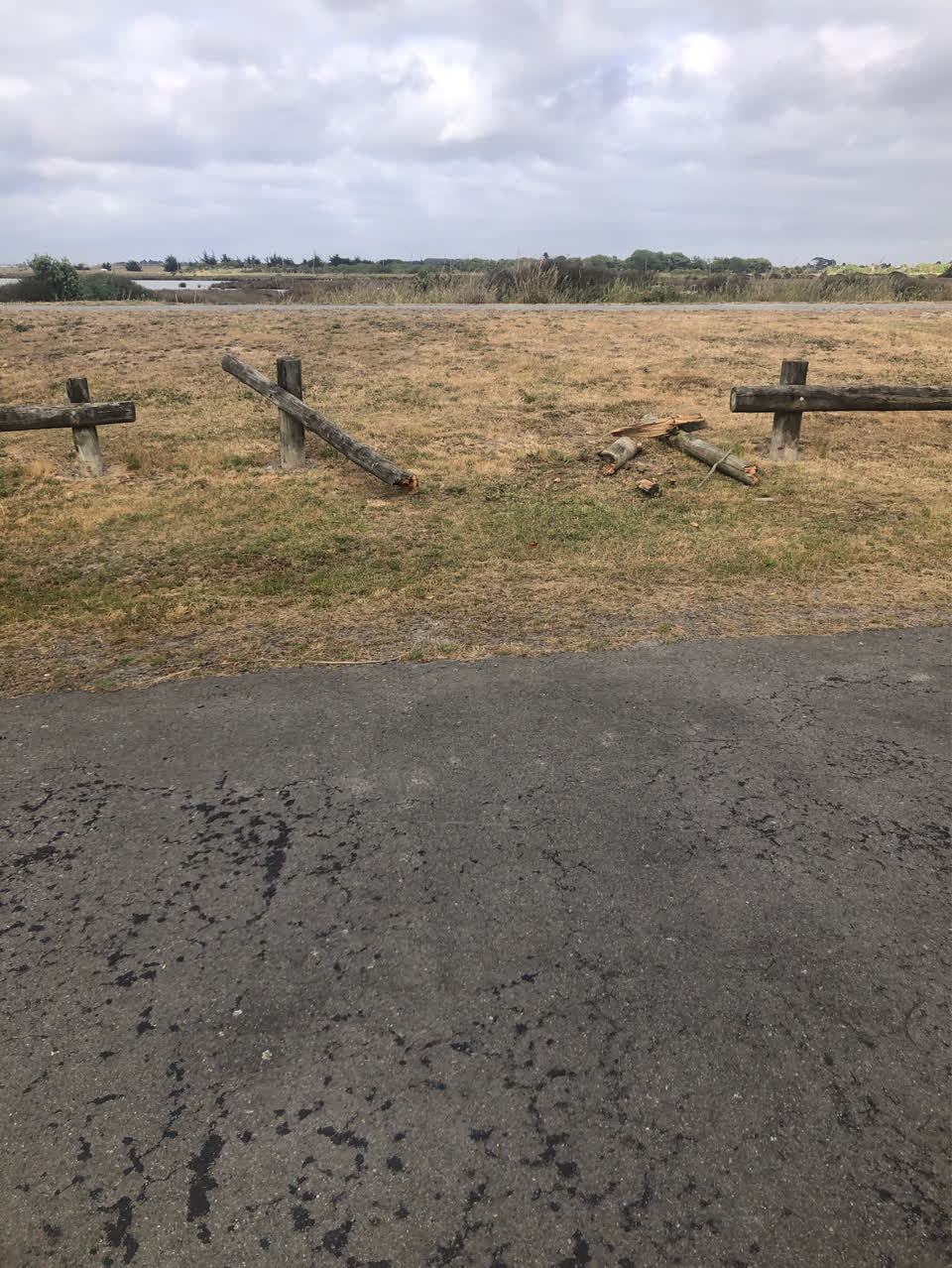 The photograph attached to this parks report