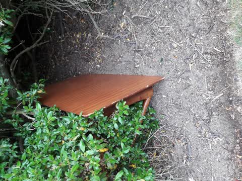 Rubbish/Recycling, a report photo