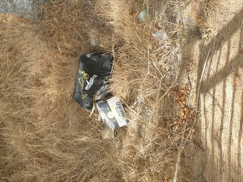 Parks, a report photo