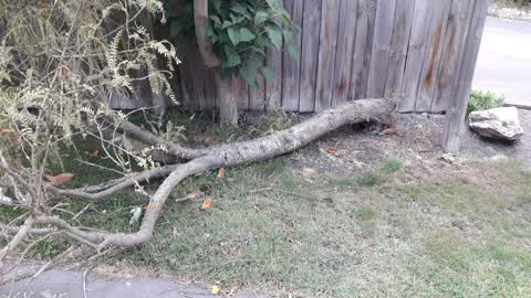 Parks, a report photo