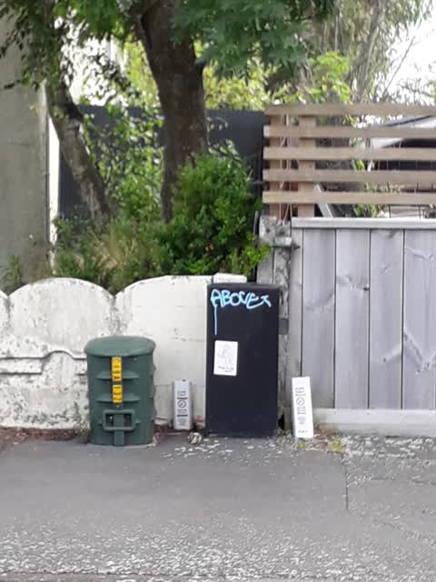 Graffiti, a report photo