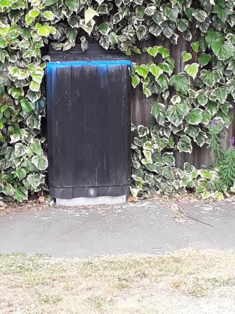 Graffiti — a report photo
