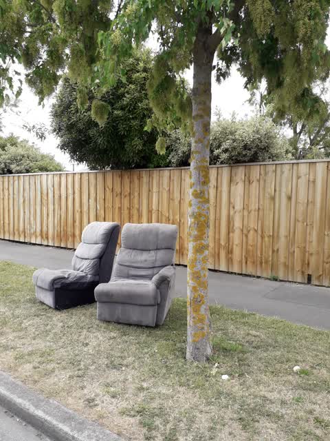 Rubbish/Recycling, a report photo