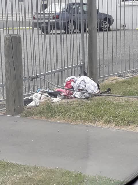 Rubbish/Recycling — a report photo