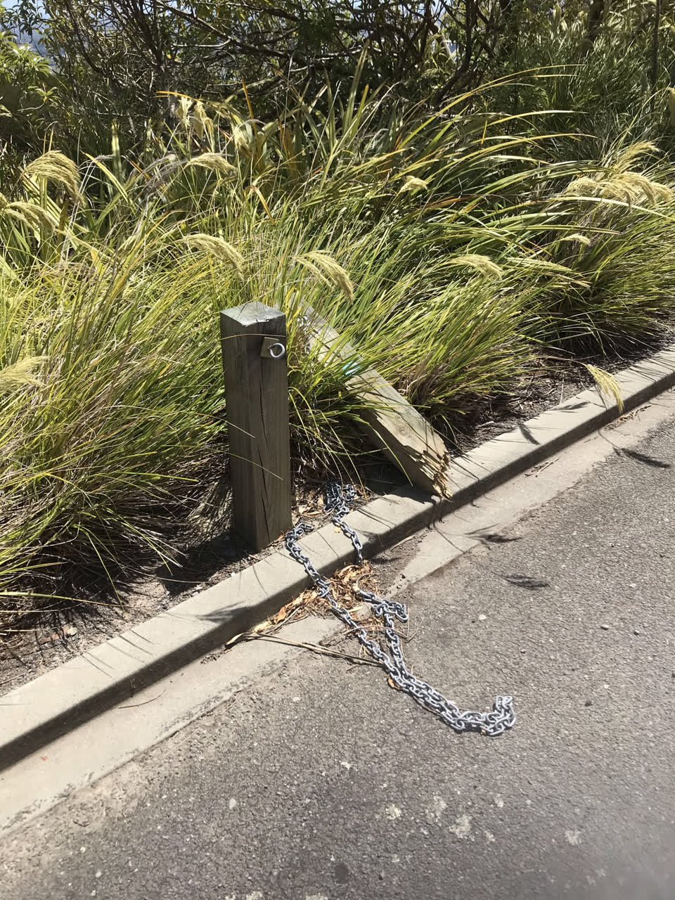 The photograph attached to this parks report