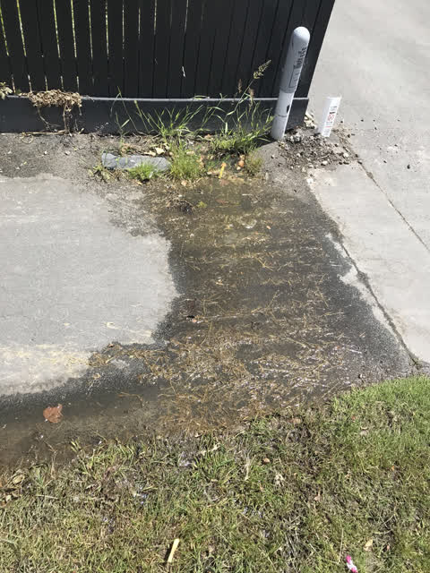 Water Leak, a report photo