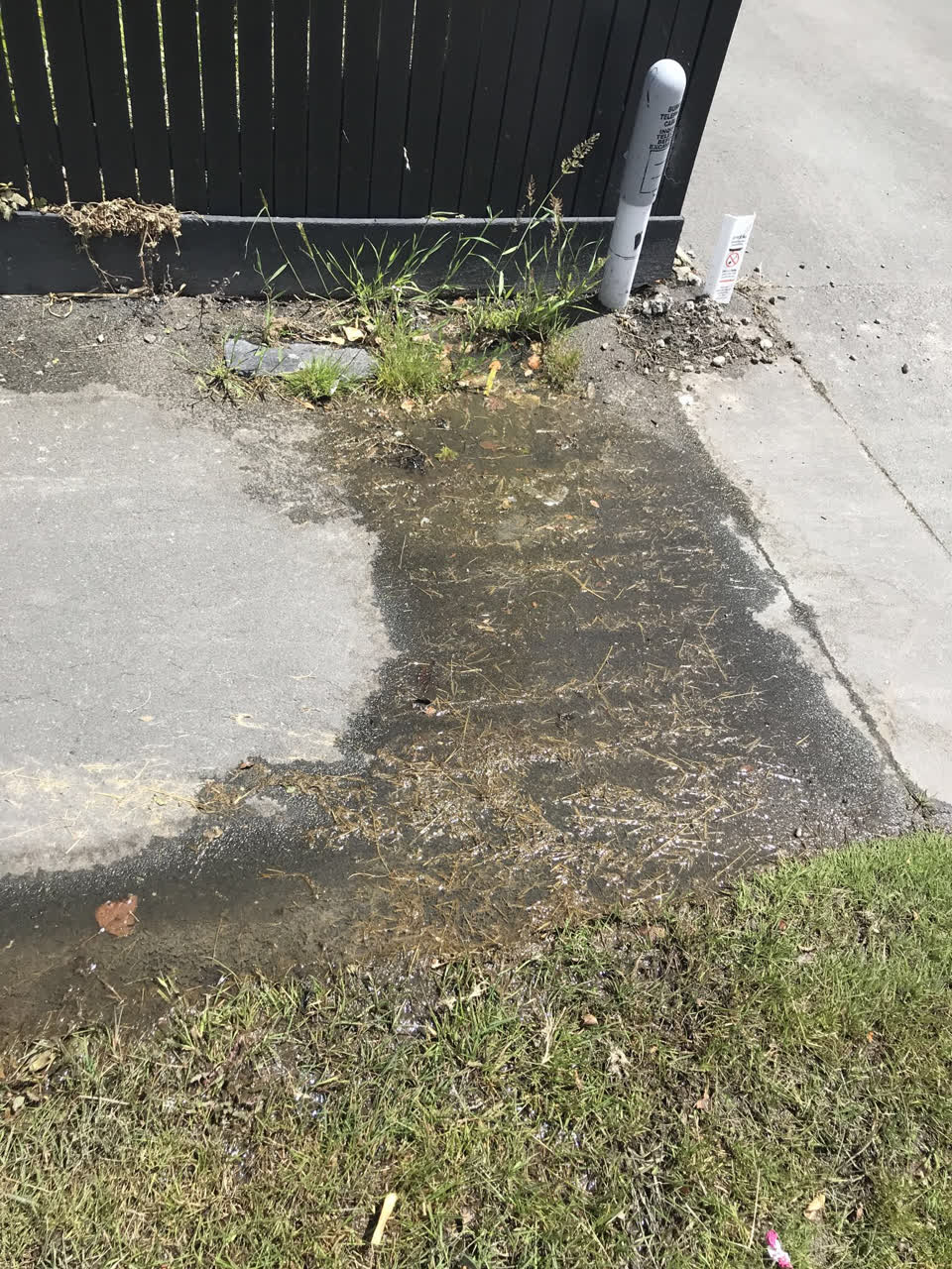 The photograph attached to this water leak report