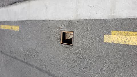 Roading/Streets — a report photo