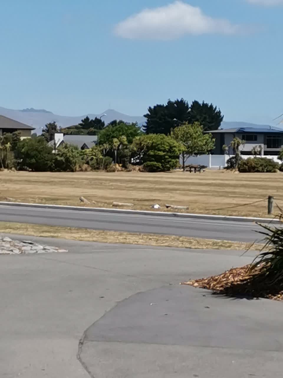 The photograph attached to this parks report