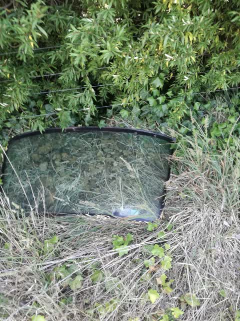 Rubbish/Recycling, a report photo