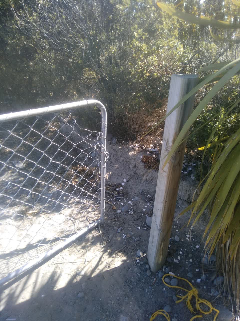 The photograph attached to this parks report
