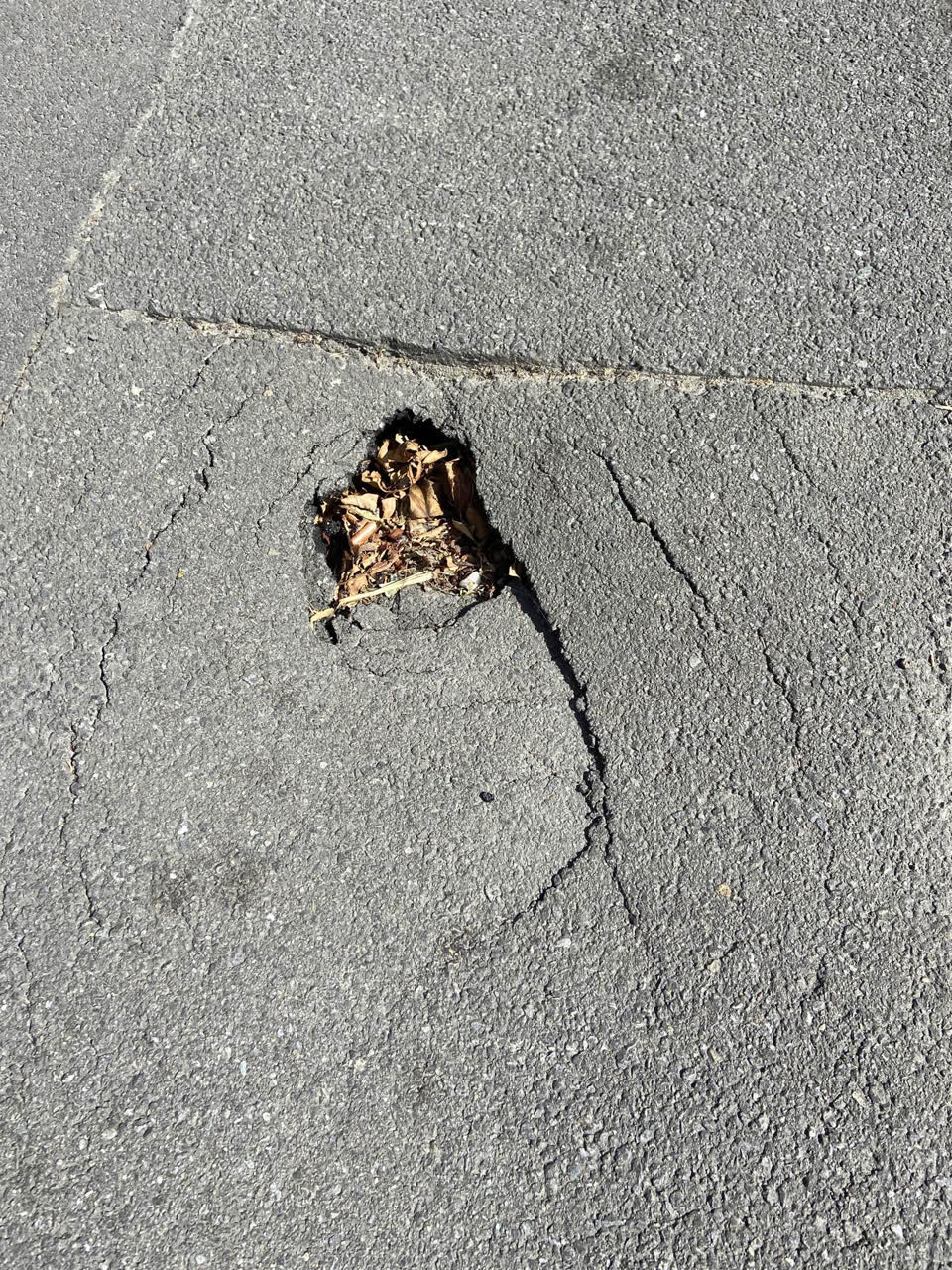 The photograph attached to this roading/streets report