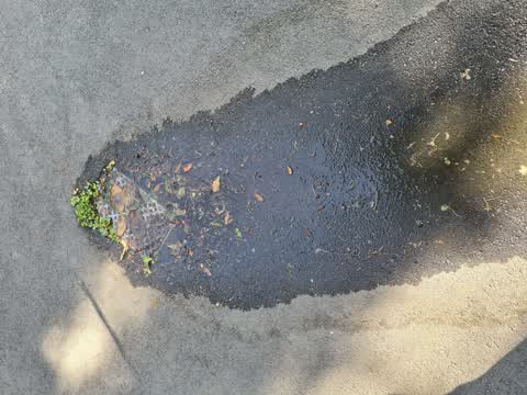Water Leak, a report photo