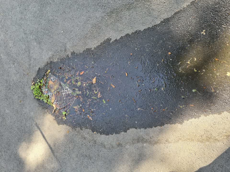 The photograph attached to this water leak report