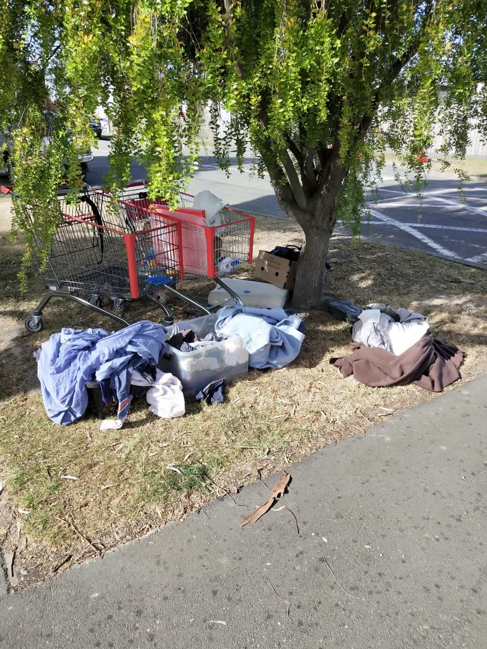 The photograph attached to this rubbish/recycling report