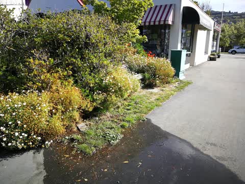 Sewer - Leak / Blockage, a report photo