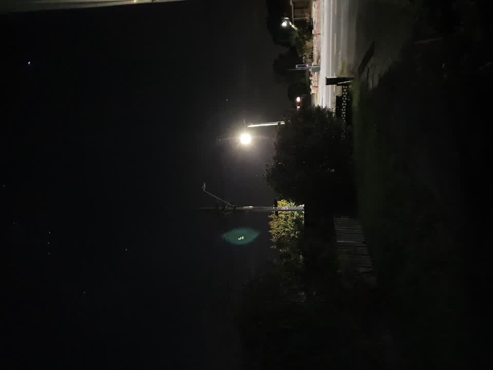 The photograph attached to this street light outage report