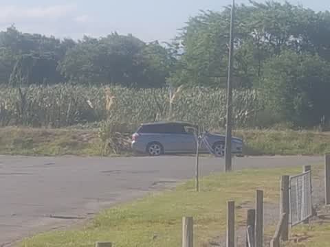 Roading/Streets, a report photo