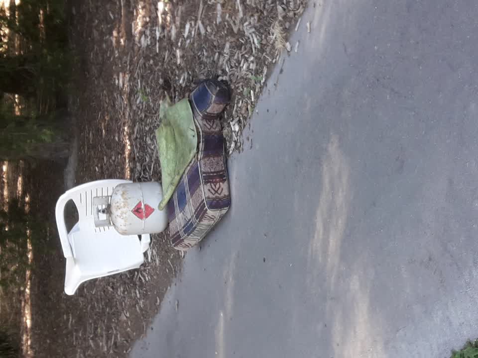 The photograph attached to this parks report