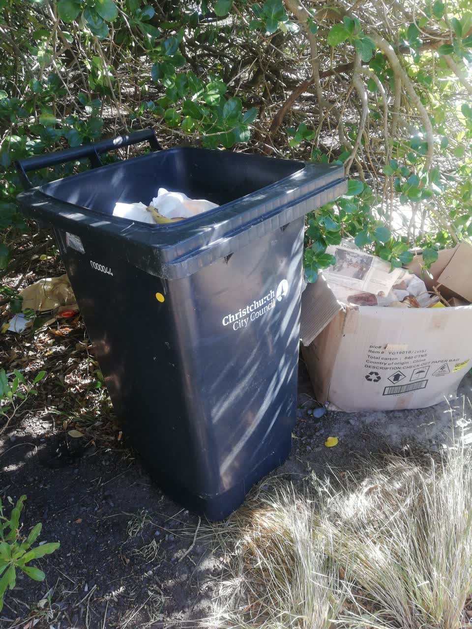The photograph attached to this parks report