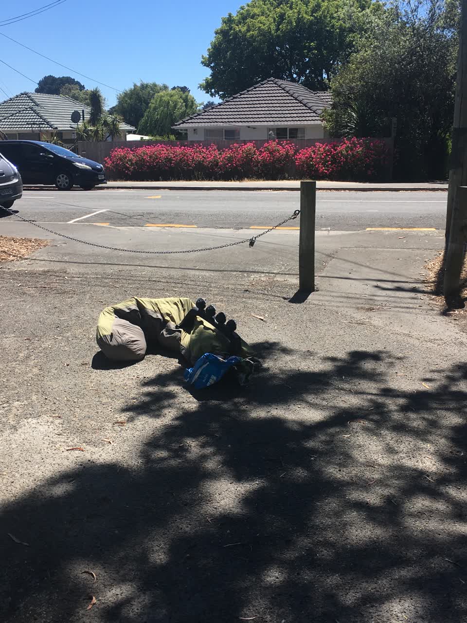 The photograph attached to this parks report