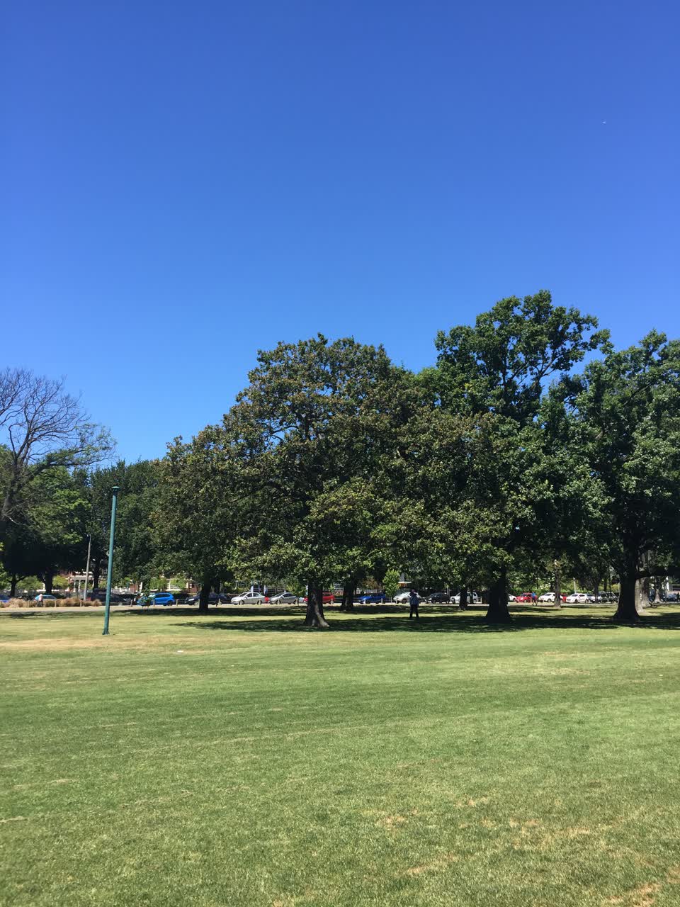 The photograph attached to this parks report