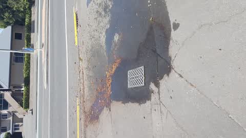 Water Leak, a report photo