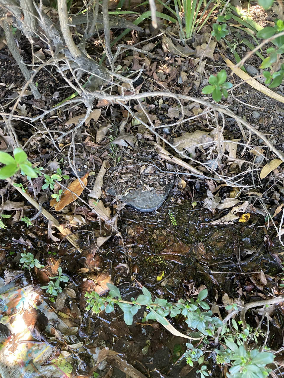 The photograph attached to this water leak report