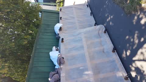 Rubbish/Recycling, a report photo