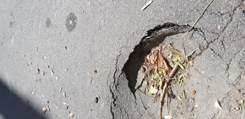 Street Light Outage, a report photo