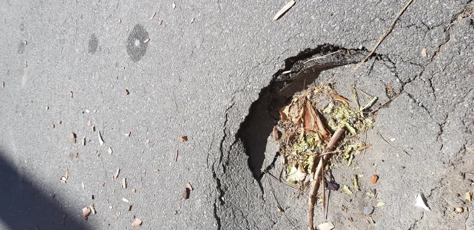 The photograph attached to this street light outage report