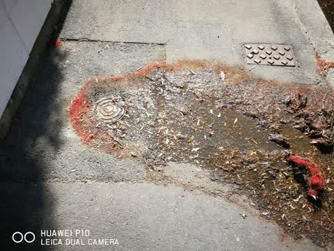 Water Leak, a report photo