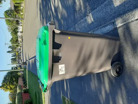Rubbish/Recycling, a report photo