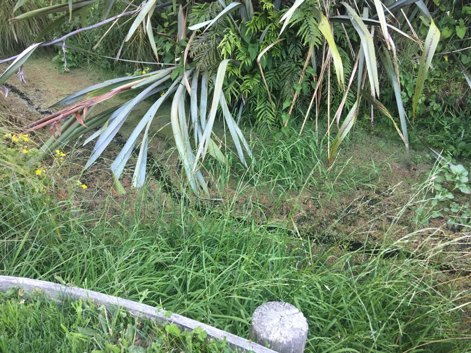 The photograph attached to this wastewater/stormwater report