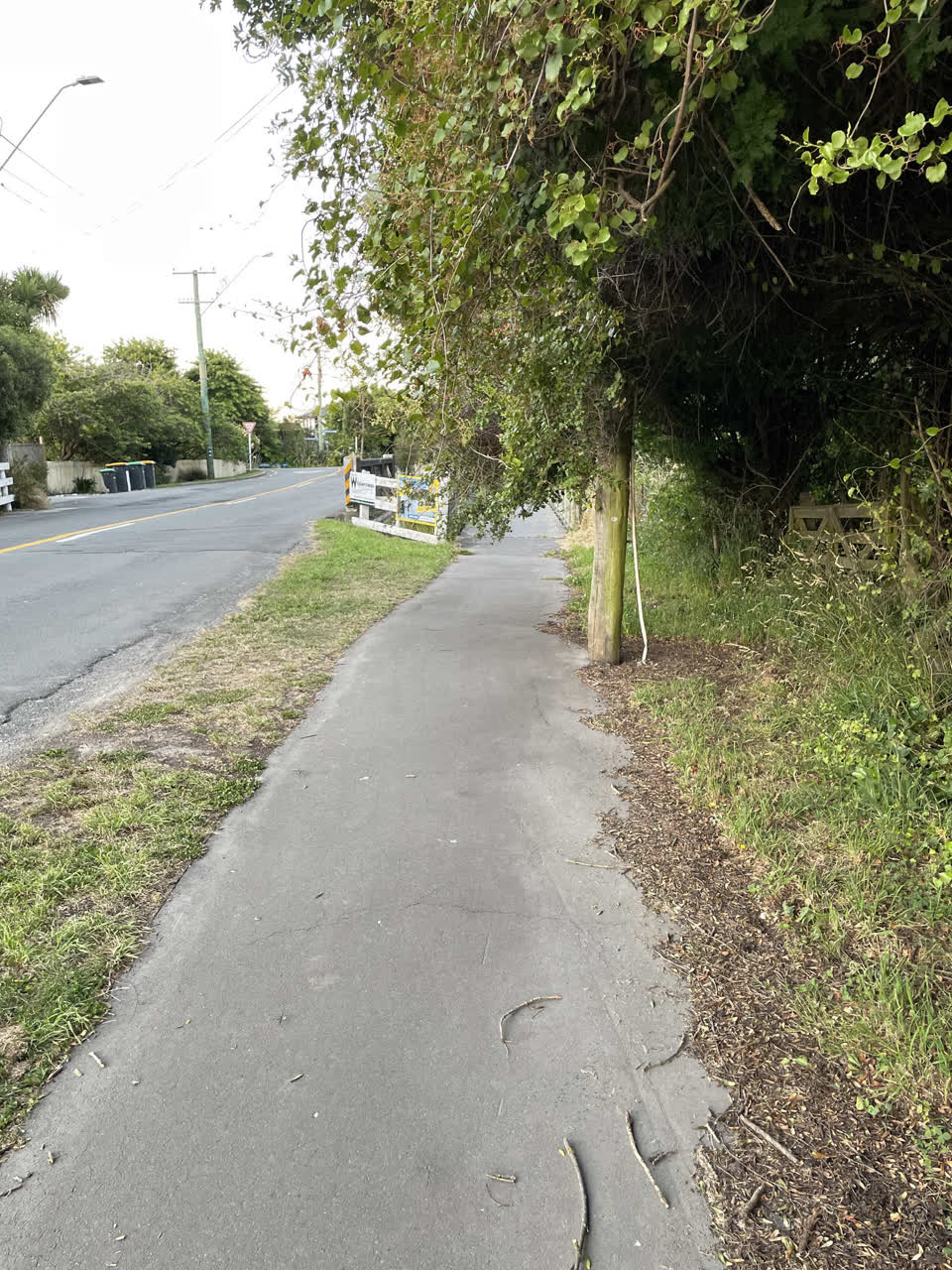 The photograph attached to this roading/streets report