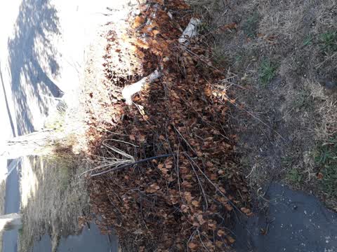 Rubbish/Recycling, a report photo