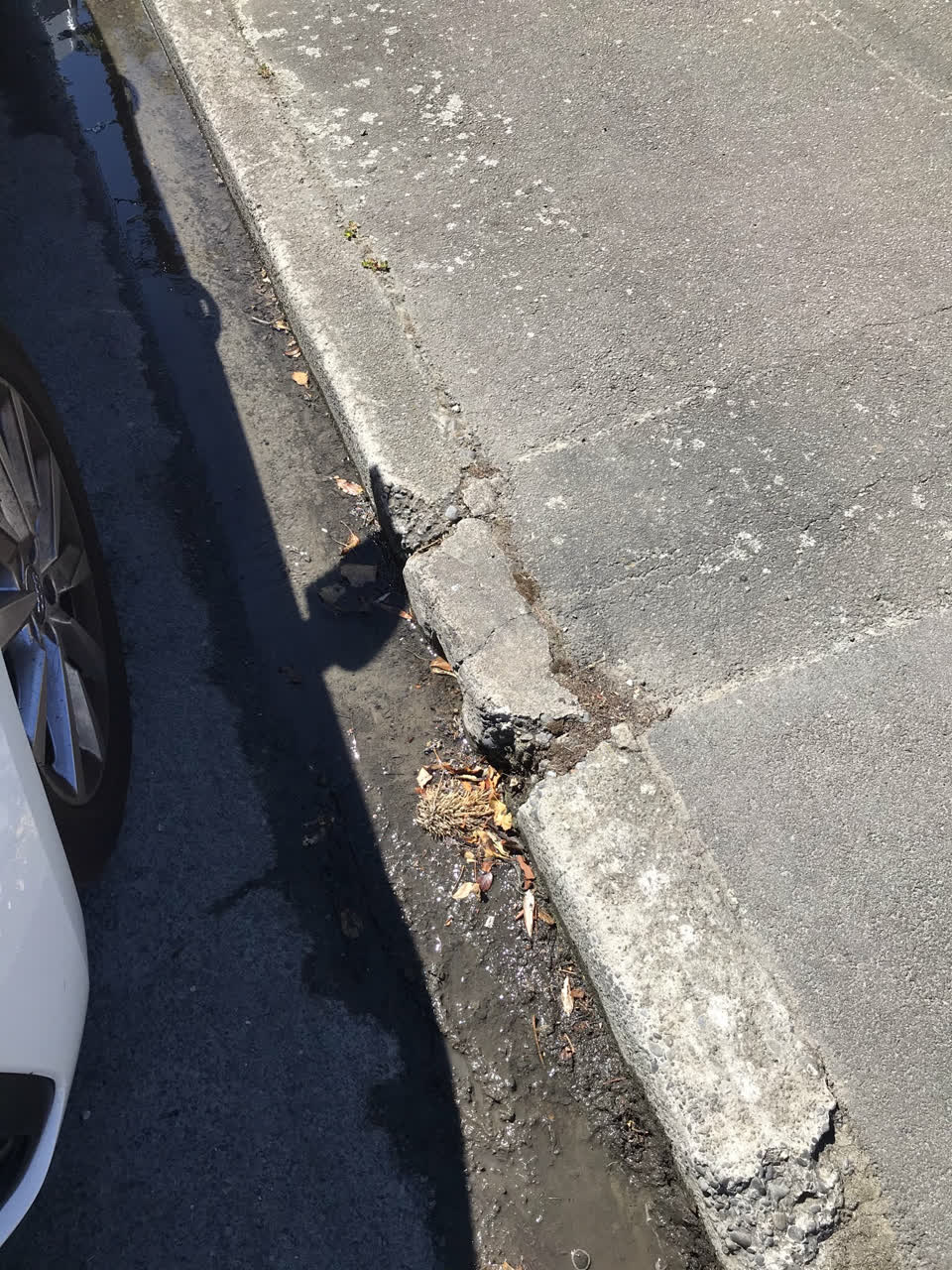 The photograph attached to this water leak report