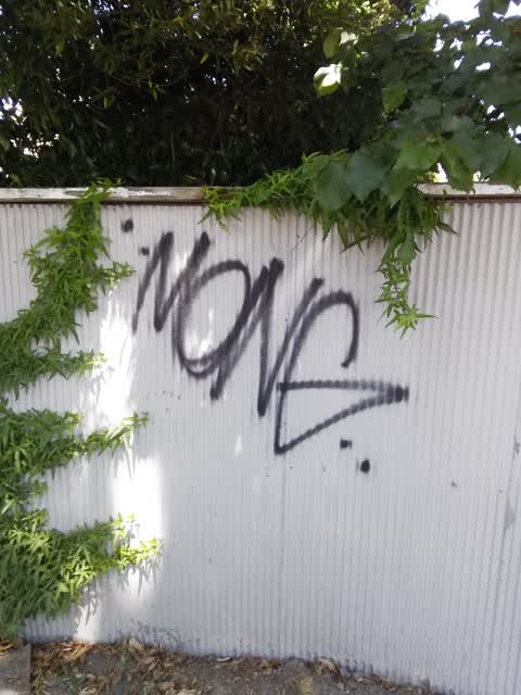 Graffiti, a report photo