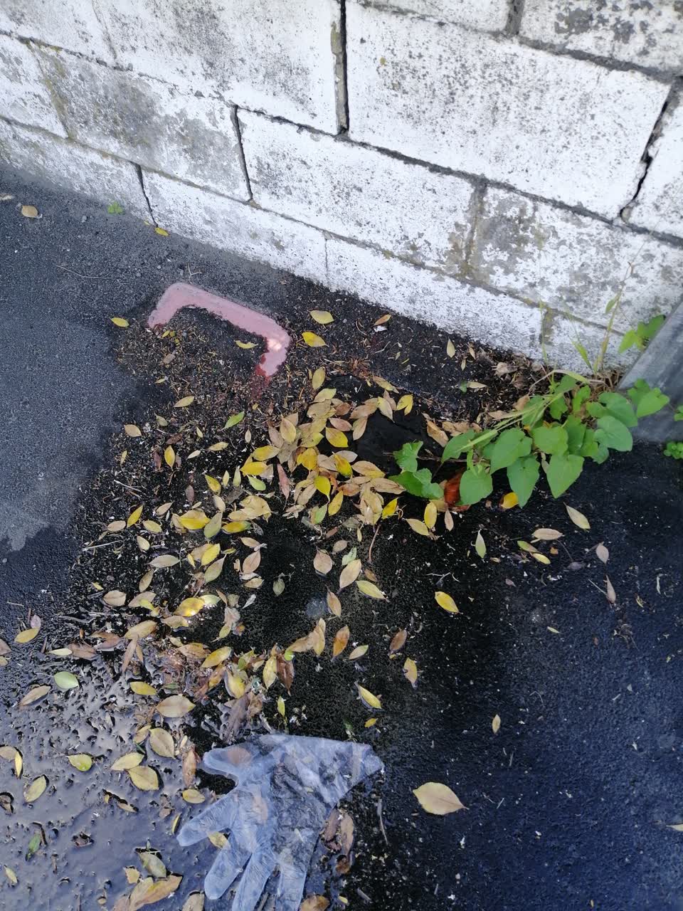 The photograph attached to this water leak report