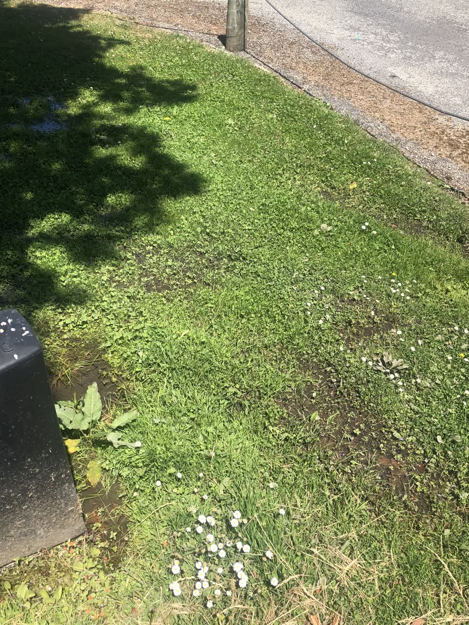 The photograph attached to this flooding report