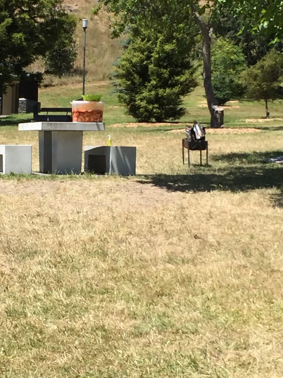 The photograph attached to this parks report