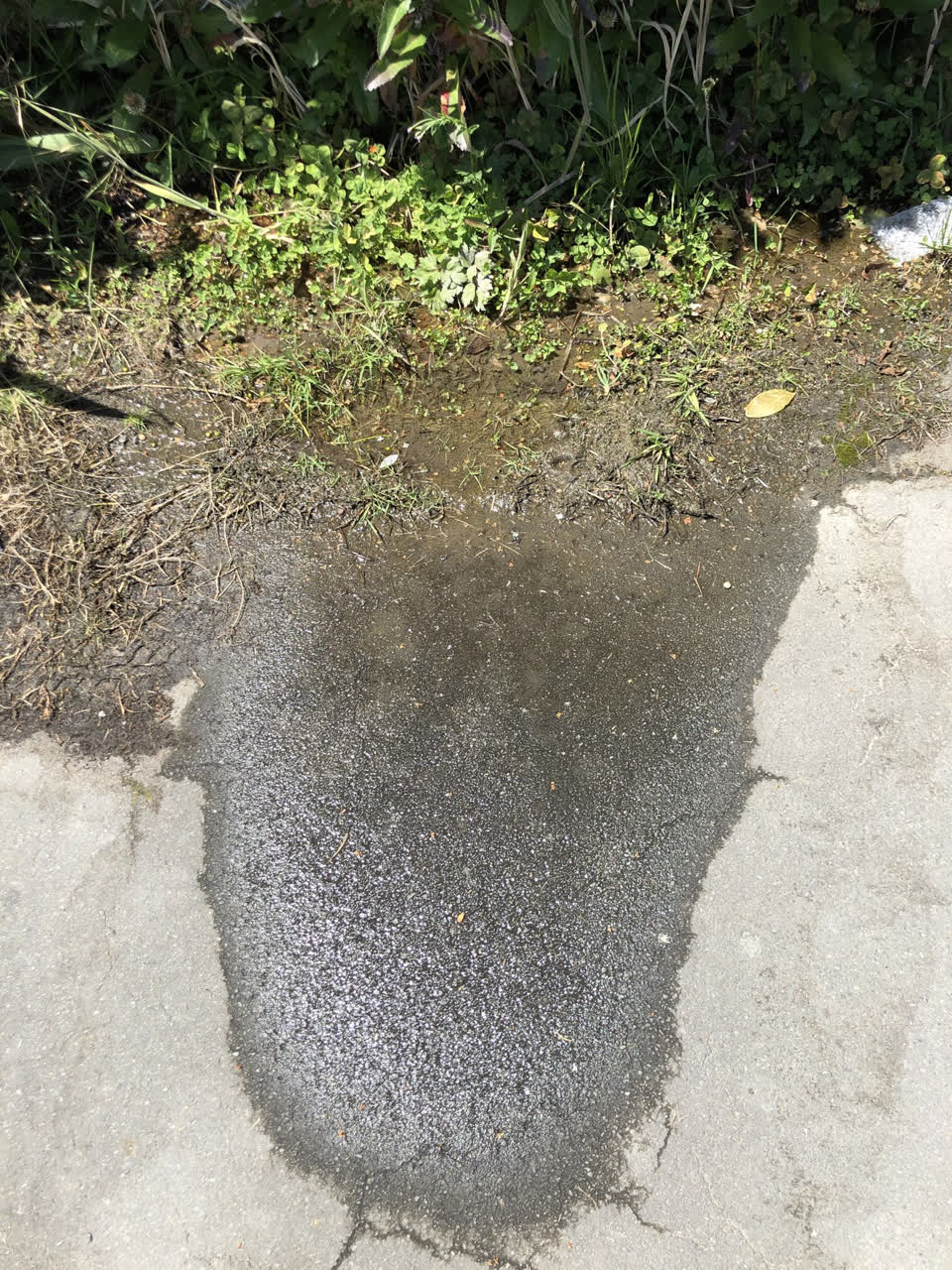 The photograph attached to this water leak report